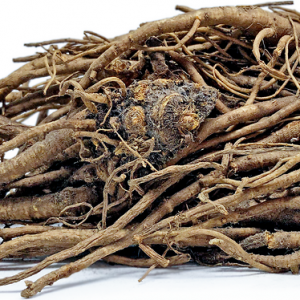 Lovage Root Oil (Eastern Europe)