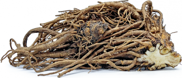 Lovage Root Oil (Eastern Europe)