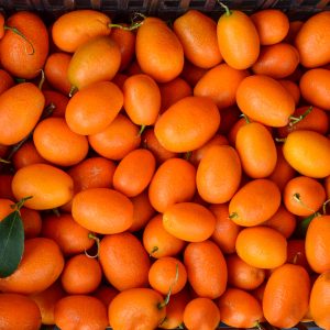 Kumquat Oil (Brazil)