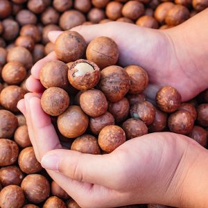 Macadamia Nut Oil (Australia)