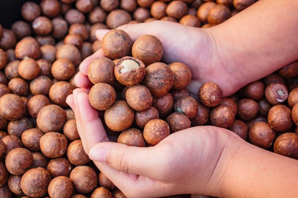 Macadamia Nut Oil (Australia)