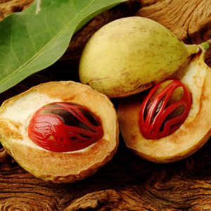 Nutmeg Oil Granules (Indonesia)