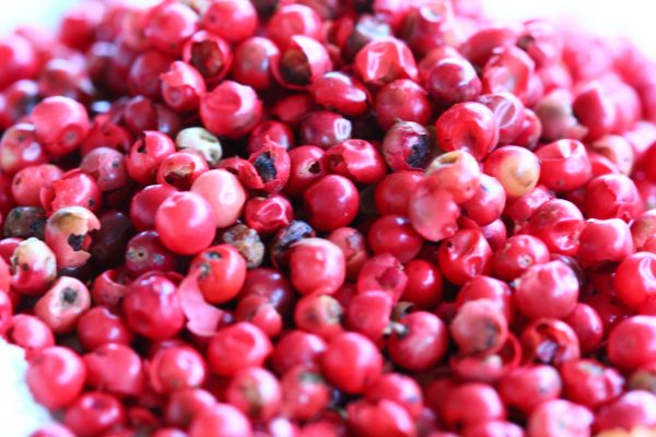 PINK PEPPERCORN OIL (Peru)