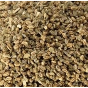 CELERY SEED OIL (INDIA)