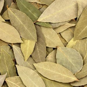 Bay Leaf Oil (Turkey)