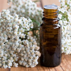 Yarrow Oil (Bulgaria)