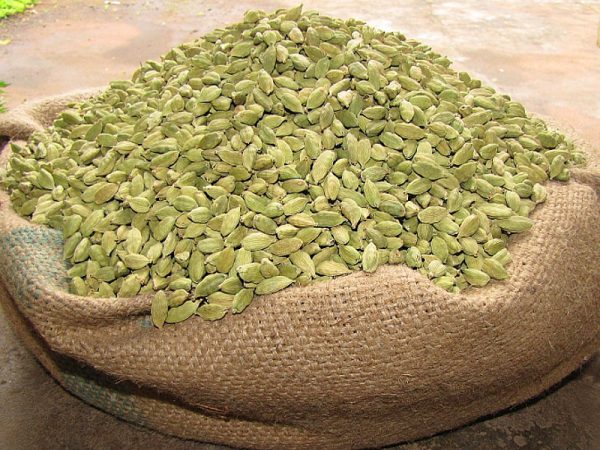 Cardamom Oil Green CO2 (INDIA)