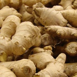 Ginger Oil  Granules (India)