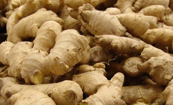 Ginger Oil  Granules (India)