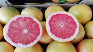 Grapefruit Oil (Turkey)